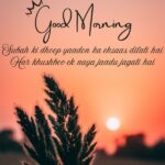 good morning shayari in english