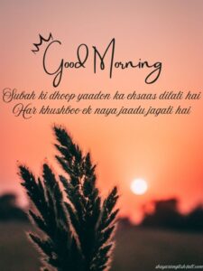 Read more about the article Good Morning Shayari in English | 50+  Best line to Brighten Your Day