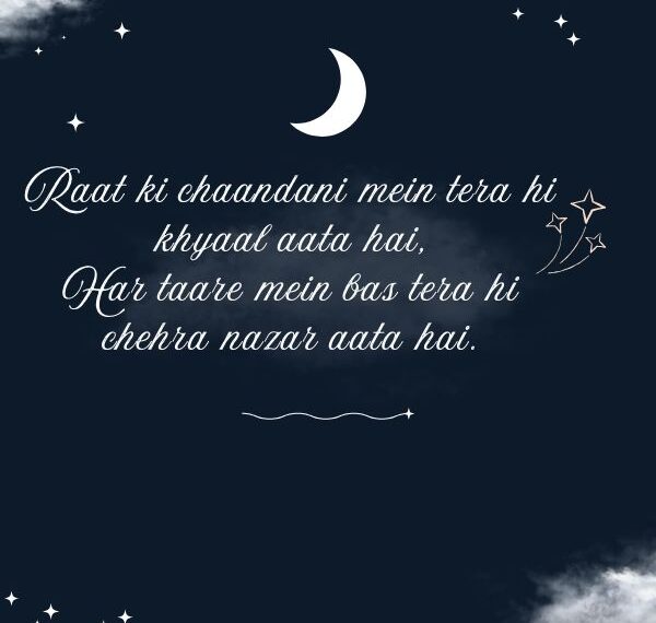 2 Line Good Night Shayari In English​